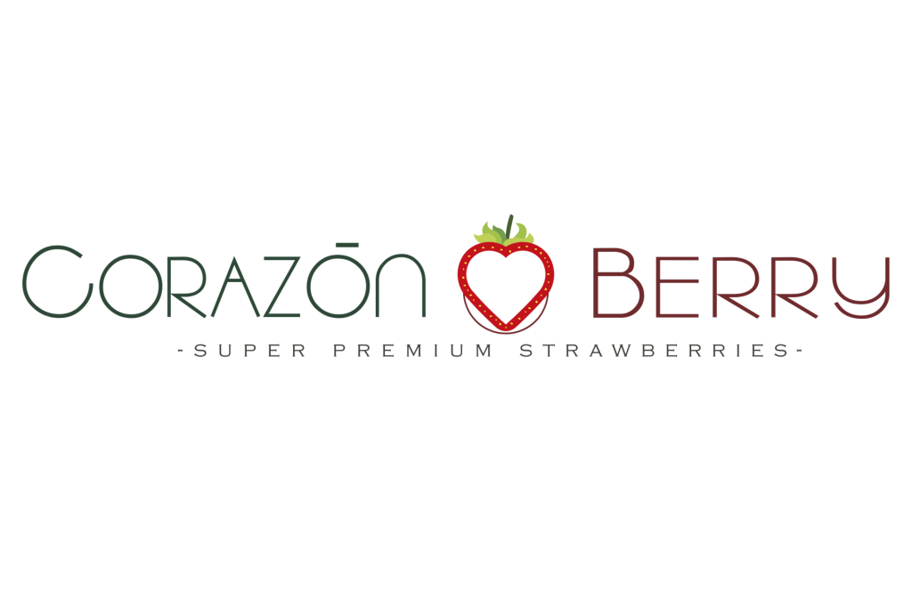 Logo Corazón Berry